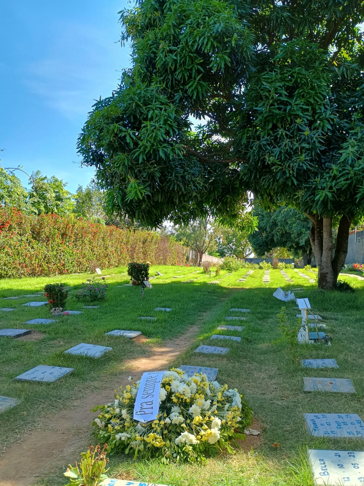 Foto do Cemitério 1