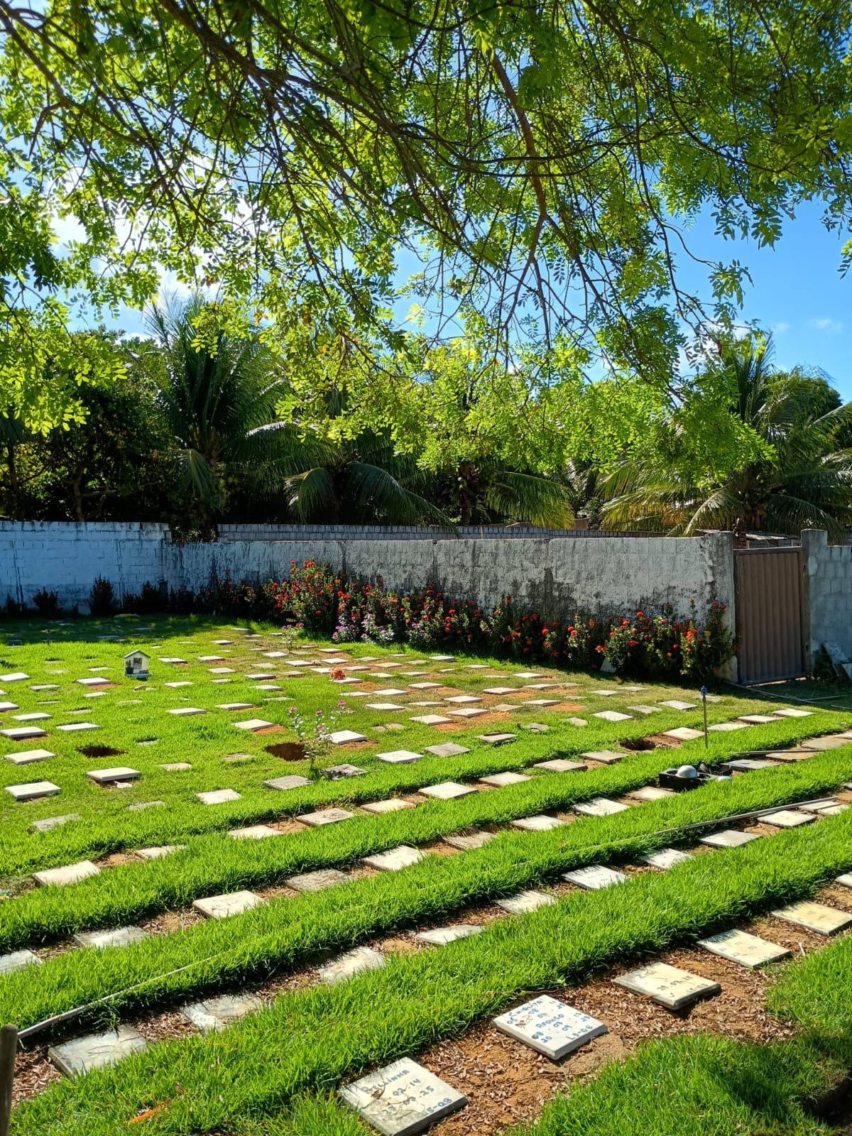 Foto do Cemitério 4